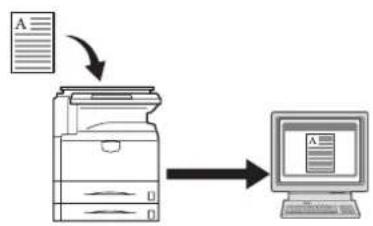 Triumph-Adler DCC 2635 - Connexion Base - 2