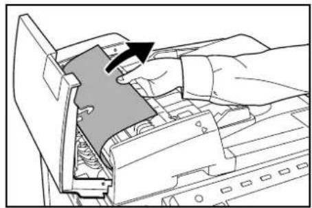 Triumph-Adler DCC 2632 - Proesseur de document (en option) - 4