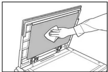 Triumph-Adler DCC 2632 - Glace d'exposition et glace des originaux - 1