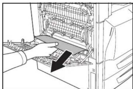 Triumph-Adler DCC 2632 - Intérieur du couvercle gauche 1 - 3
