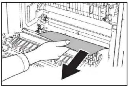 Triumph-Adler DCC 2632 - Bac MF - 7