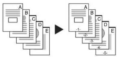 Triumph-Adler DCC 2625 - Livret - 1