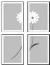 Triumph-Adler DCC 2625 - Affiche - 9