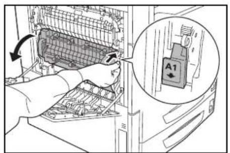 Triumph-Adler DCC 2625 - Séparateur - 4