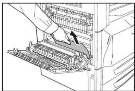 Triumph-Adler DCC 2625 - Intérieur du couvercle gauche 1 - 5