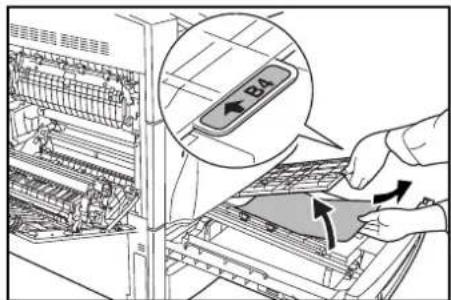 Triumph-Adler DCC 2625 - Bac MF - 13