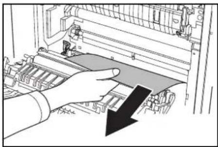 Triumph-Adler DCC 2625 - Bac MF - 7