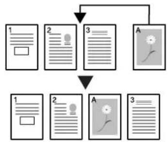 Triumph-Adler DCC 2625 - Interruption - 1