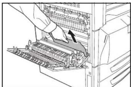 Triumph-Adler DCC 2625 - Bac MF - 5