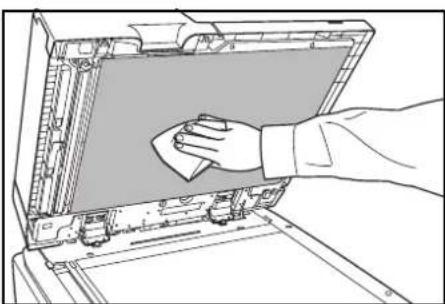 Triumph-Adler DCC 2625 - Processeur de document (en option) - 1