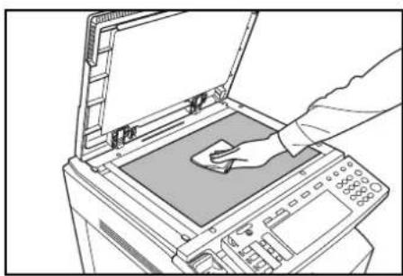 Triumph-Adler DCC 2625 - Glace d'exposition et glace des originaux - 2