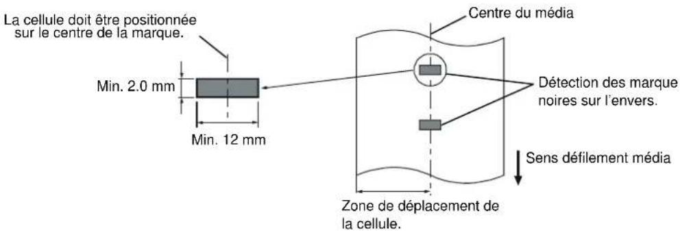 TEC BSX4TQQ - A1.3.3 Zone de Détection de la Cellule Marque Noire - 1