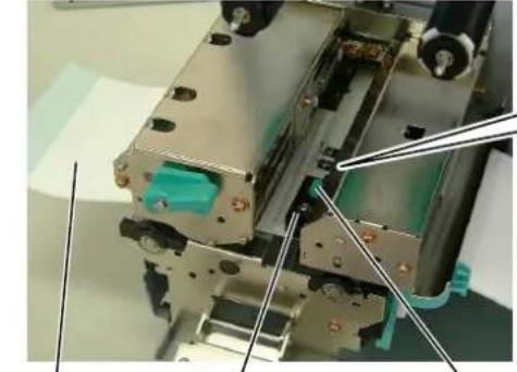 TEC BSX4TQQ - Ajustement de la position cellule échenillage - 1