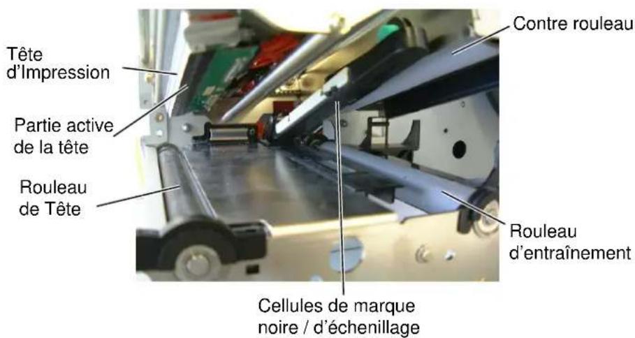 TEC BSX4TQQ - NOTE: - 1