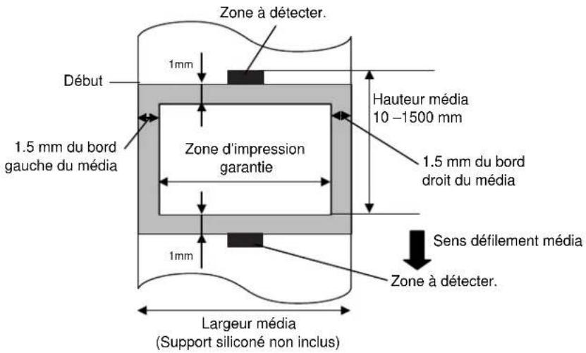 TEC BSX4TQP - A1.3.3 Zone de Detection de la Cellule Marque Noire - 3