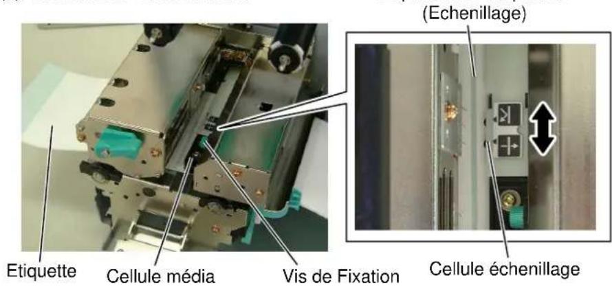 TEC BSX4TQP - Ajustement de la position cellule échenillage - 1