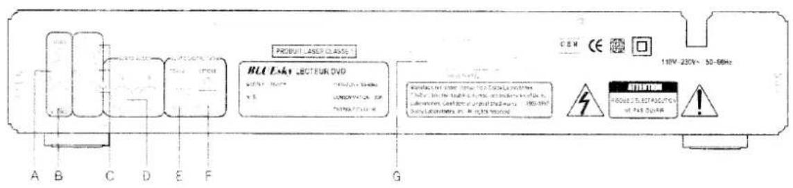 BLUESKY DS8315 - GUIDE DU CONTROLE DE L'APPAREIL - 2