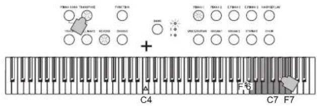 KORG D1 - Transmisión - 2