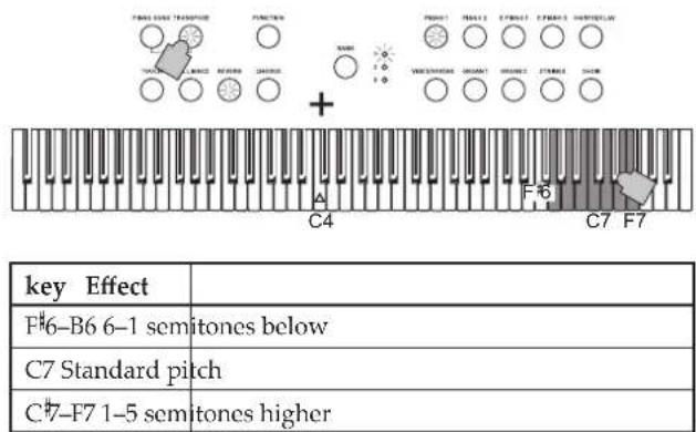 KORG D1 - Transpose - 2