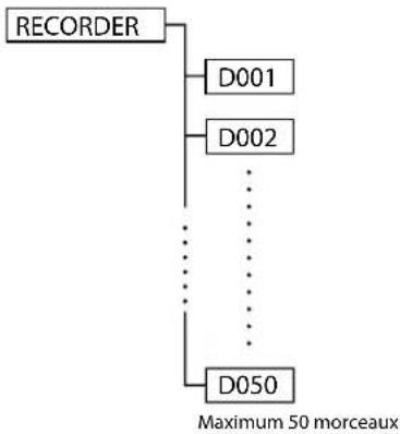 KORG KR55 Pro - Structure des dossiers et fichiers - 1