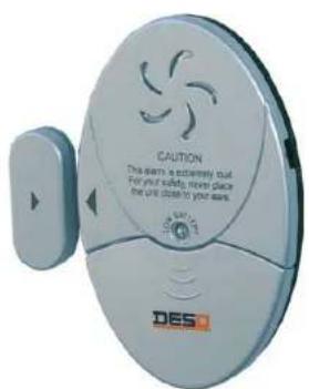 Desq 2021 - 1
