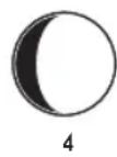 AVIDSEN Lulea 107250 - Affichage des phases de la lune - 4