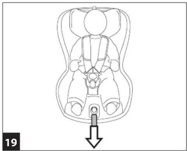 PEG PEREGO Viaggio Switchable - BELTED - 21