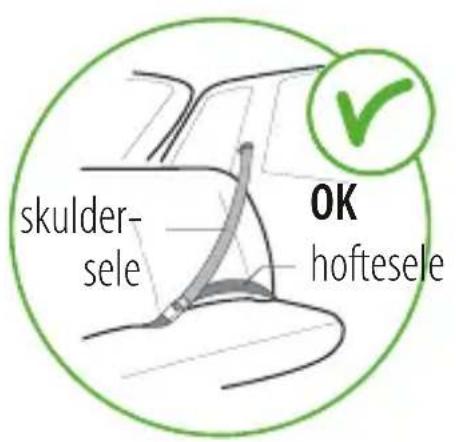 STOKKE IZi Go X1 BeSafe - 1