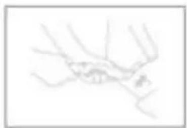 Topmark Jess - SOIN ET ENTRETIEN - 2