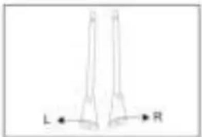 Topmark Jess - Beves gen van de poten - 1