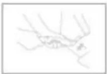 Topmark Jess - PFLEGE - 2