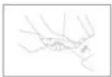 Topmark Jess - GUARANTEE - 2