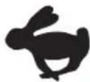 HUSQVARNA ST 227P - Symbols on the product - 5