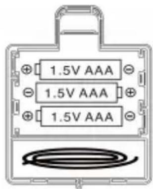 ESSENTIELB Light Up - SeTeTeiToIedlaIaqSsItiDudocomotatateur - 2