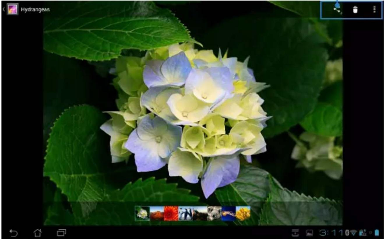 ASUS Transformer Pad TF300TL - Partager, supprimer et éditer des images - 1