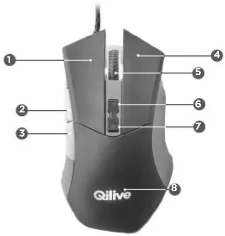 Qilive Q.8338 - AZ EGÉR GOMBJAINAK FUNKCIÔI - 2