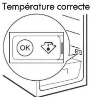 IKEA HAFTIGT - Indicateur de températe - 2