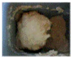 TERMOZETA Fornarina 2 73978 - EMPFEHLUNGEN FÜR DIE BROTZUBEREITUNG - 1
