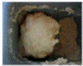 TERMOZETA Fornarina 2 73978 - SUGGESTIONS ON PREPARED THE BREAD - 1