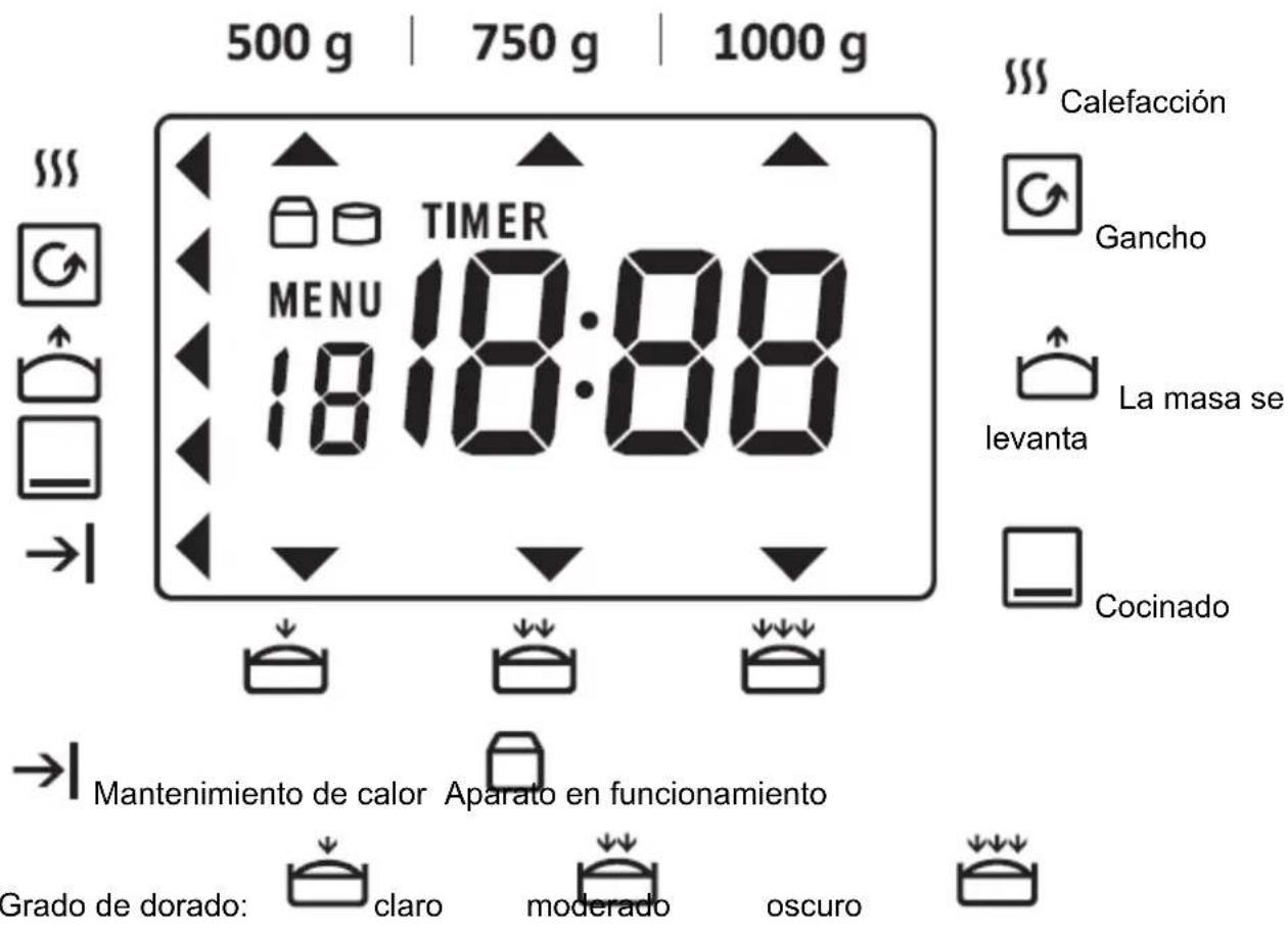 CASO BM1000 - Pantalla LCD y explicación de símbolos - 1