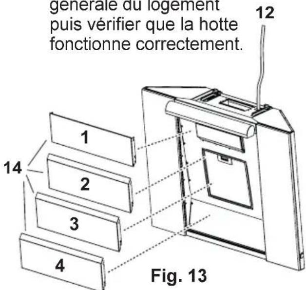 AEG-ELECTROLUX DD 8795 - Montage - fig. 10-11-12-13 - 2