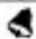 Puma Form - SYMBOL - 2