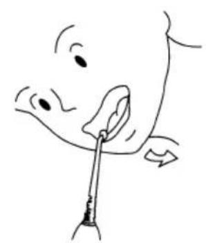 CONRAD 84 09 69 - Handhabung - 2