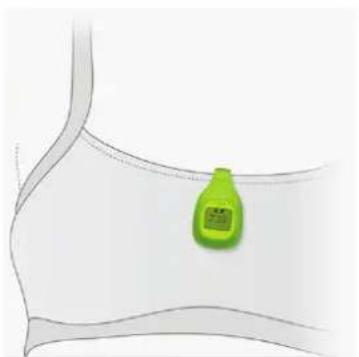 FITBIT Zip - Comment porteriste Zip - 1