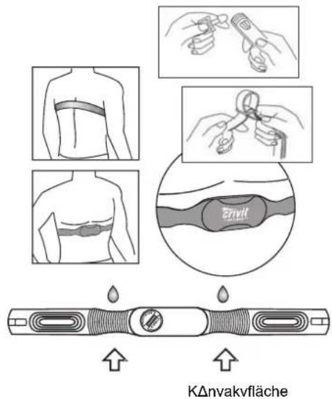 CRIVIT IAN 68547 - Tragen des Brustgurts - 1