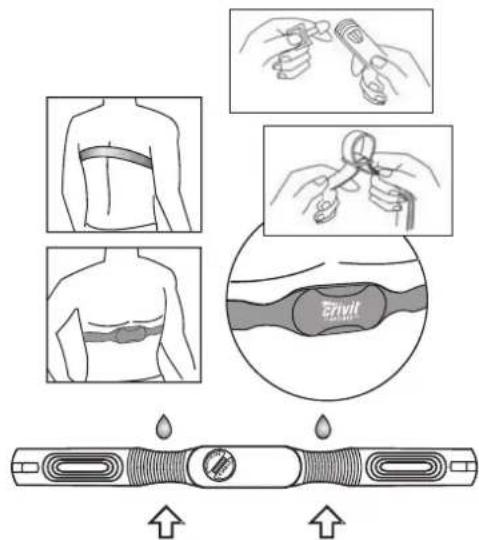 CRIVIT IAN 68547 - Portare la cintura da petto - 1