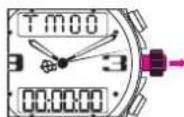 Breitling AIrwolf Raven - Ajuste - 1