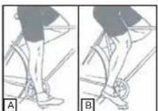 WAYSCRAL Sporty 645 - Réglage de la hauteur de selle - 1