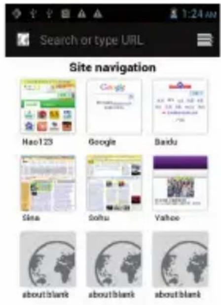 Trevi 5.3Q - Browser - 1