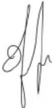 Trevi 5.3Q - DECLARACION DE CONFORMIDAD - 1